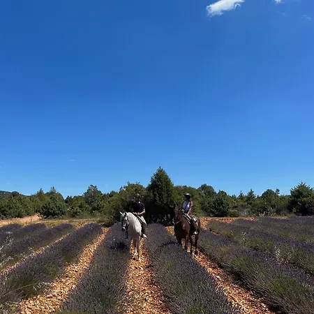 ホテル Dona Sancha 3*