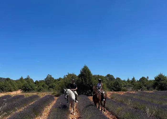 Hotel Dona Sancha 3*